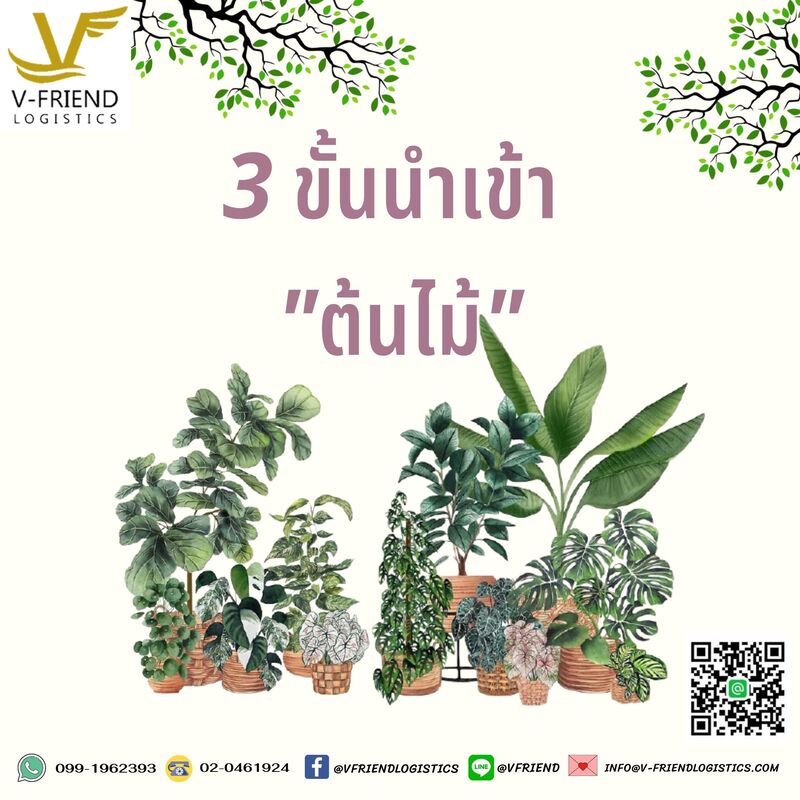 3 ขั้นตอนการนำเข้าต้นไม้ประดับ จากต่างประเทศ